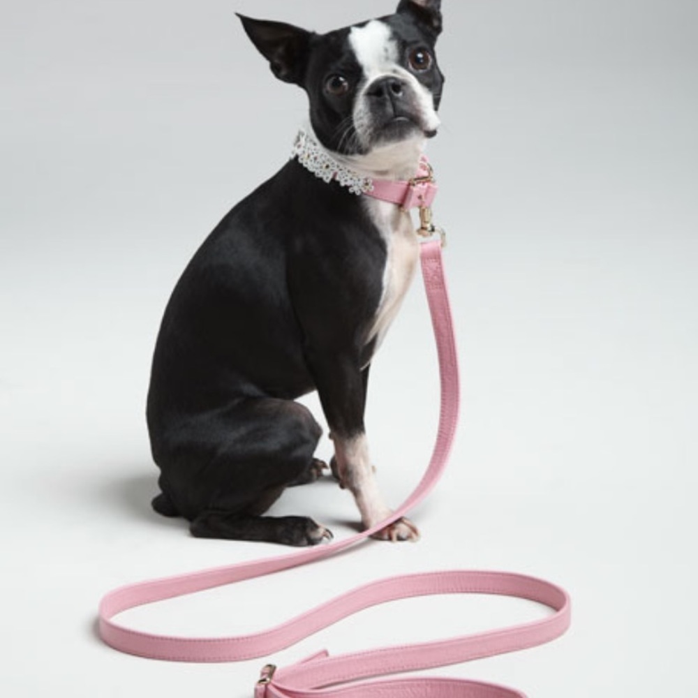 New Oscar De La Renta leather dog leash.